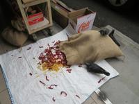 Stopover Singapur - Little India