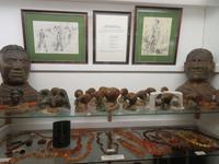 Matakohe Kauri Museum