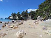 Cathedral Cove - Beach