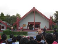 Rotorua - Te Puia - Maorikonzert