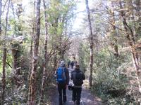Wanderung - Taranaki Falls - Tama Lakes
