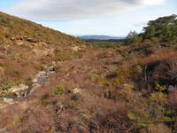 Wanderung - Taranaki Falls - Tama Lakes