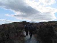 Wanderung - Taranaki Falls - Tama Lakes