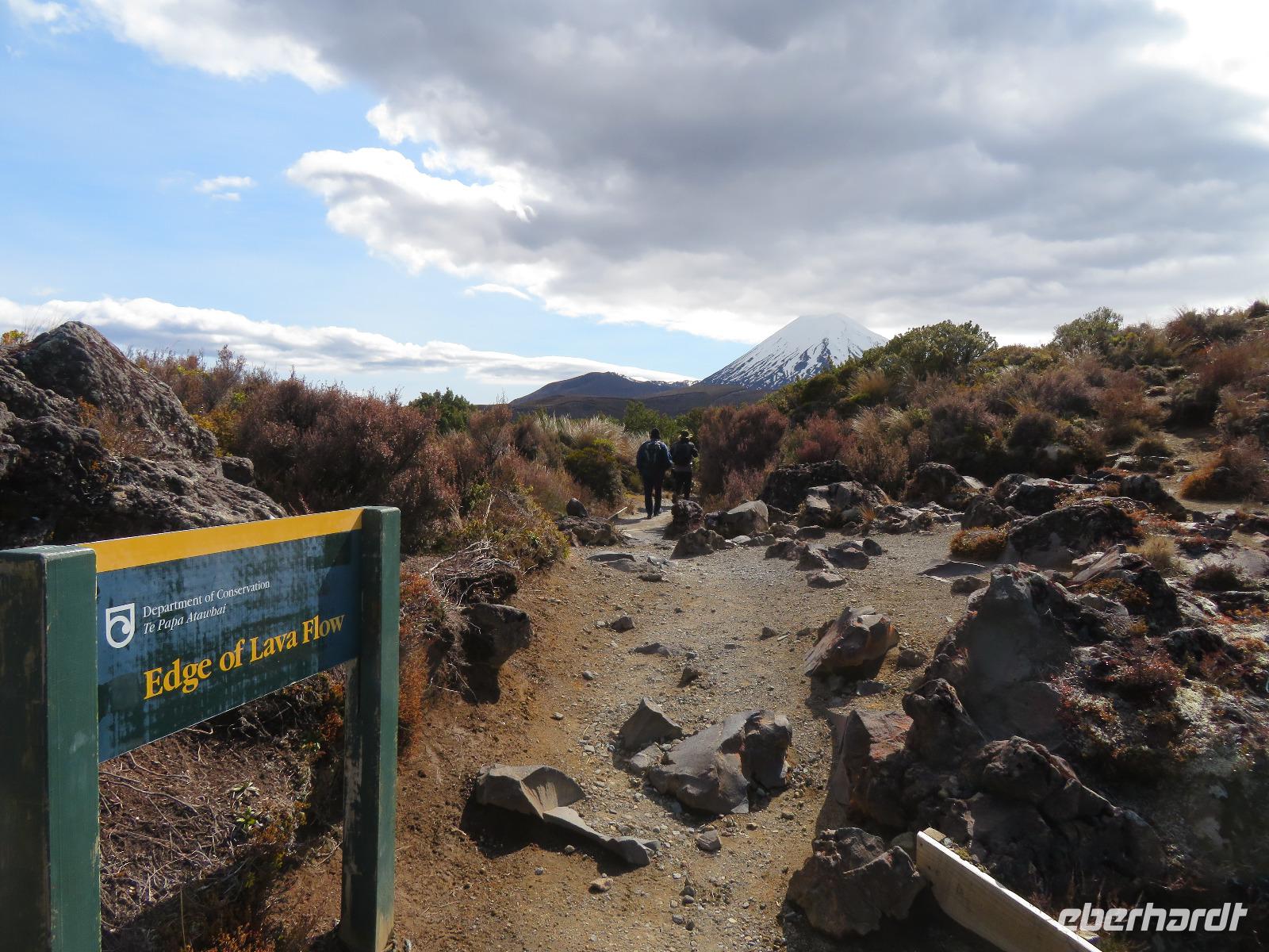Wanderung - Taranaki Falls - Tama Lakes