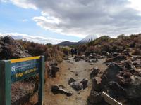 Wanderung - Taranaki Falls - Tama Lakes