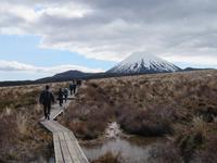 Wanderung - Taranaki Falls - Tama Lakes