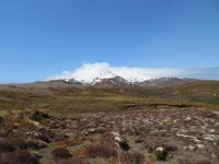 Wanderung - Taranaki Falls - Tama Lakes