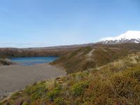 Wanderung - Taranaki Falls - Tama Lakes