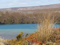 Wanderung - Taranaki Falls - Tama Lakes