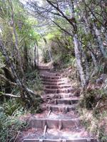 Wanderung - Taranaki Falls - Tama Lakes