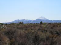 Tongariro Nationalpark