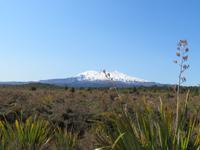 Tongariro Nationalpark - Ruapehu