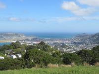 Wellington - Mount Victoria Aussichtspunkt