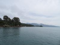 Abel Tasman Nationalpark - Katamarancruise