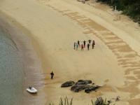 Abel Tasman Nationalpark - Ein Herz für Eberhardt!