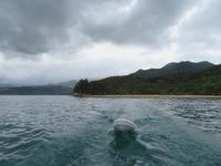 Abel Tasman Nationalpark - Katamarancruise