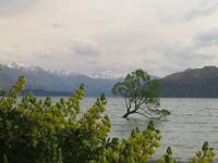 Lake Wanaka