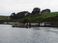 Dunedin - Fahrt mit der Monarch