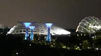 Gardens by the Bay by night