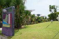 Gardens by the Bay