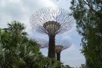 Gardens by the Bay (2)
