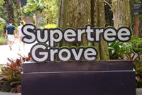 Gardens by the Bay (4)