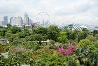Gardens by the Bay (5)