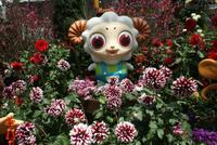 Flower Dome in Singapur (8)