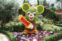 Flower Dome in Singapur (9)
