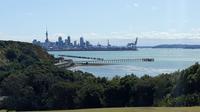 Skyline Auckland Neuseeland