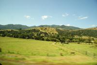 Neuseeland (3)