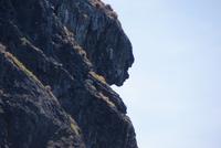 Schutzpatronen der Bucht