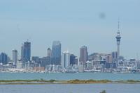 Skyline von Auckland