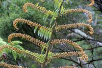 Wanderung Cathedral Cove