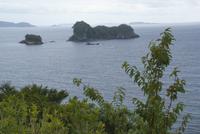 Wanderung Cathedral Cove (2)