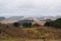 Wanderung Cathedral Cove (4)
