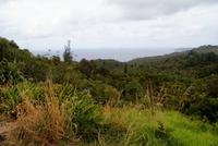 Blick auf die Küste