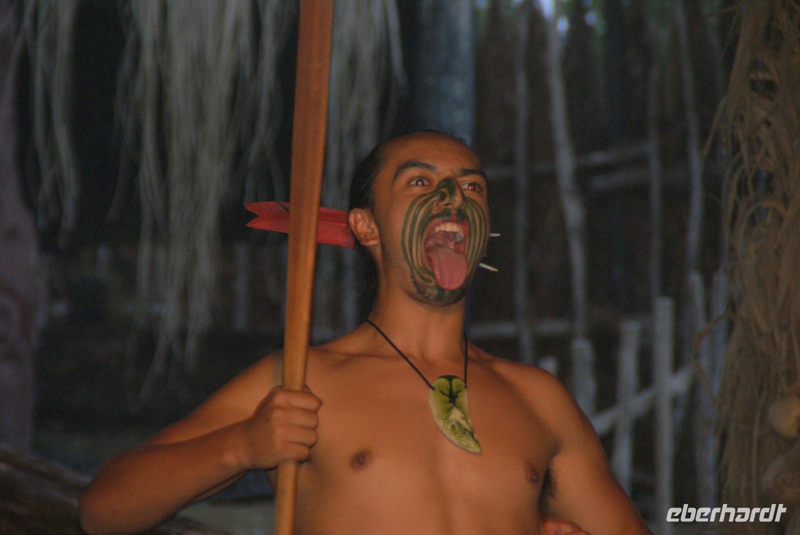 Mitai Maori Village (7)