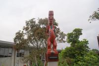 Te Puia (5)