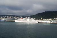 Wellington (5)