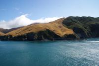 Überfahrt nach Picton