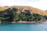 Überfahrt nach Picton (3)