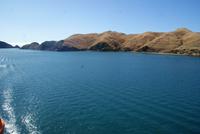 Cook Strait (4)