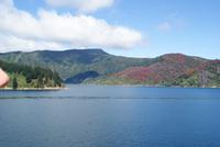 Cook Strait (10)