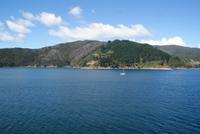 Cook Strait (11)