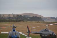 Wings over Whales (2)