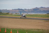 Wings over Whales (3)