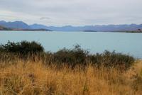 Lake Tekapo