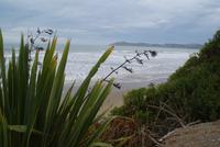 Moeraki Beach