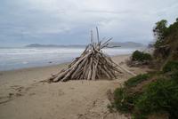 Moeraki Beach (2)